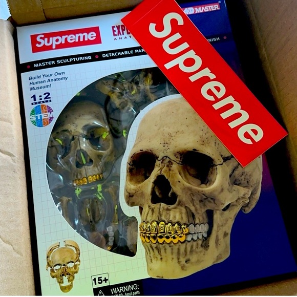 Supreme 4D Skull Model - Picture 1 of 3